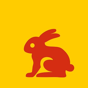schéma d'un lapin